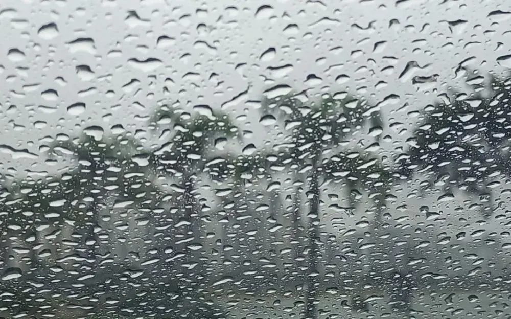 Chuva Persistente e Temperaturas Baixas: Blumenau Se Prepara para um Sábado Chuvoso