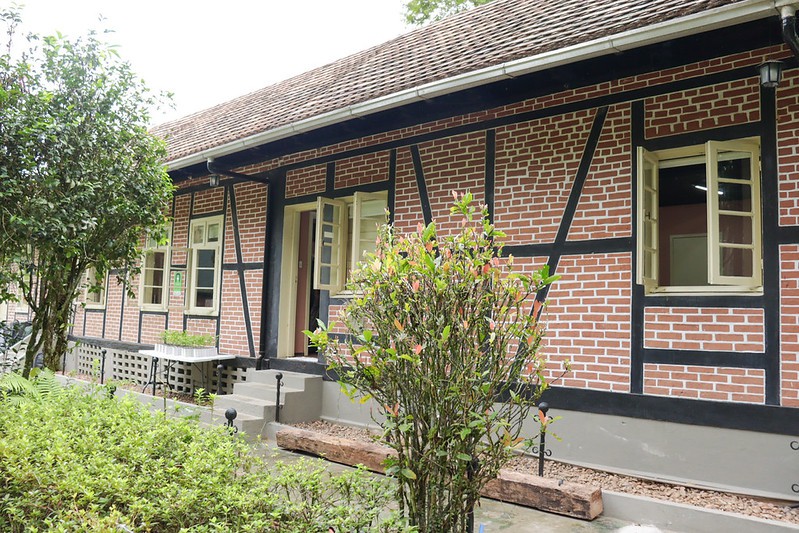 Blumenau Recupera um Patrimônio: Museu Fritz Müller Reabre Sua Porta após Revitalização