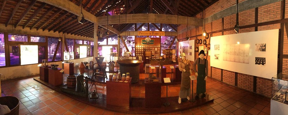 Museu da Cerveja de Blumenau vai ampliar acessibilidade com recursos em Braille, Libras e tecnologia inclusiva